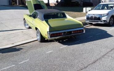 Unknown-Cougar-1973-Green-9