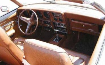 Unknown-Cougar-1973-Saddle-Bronze-Metall-Tan-1