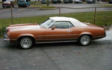 Unknown-Cougar-1973-Saddle-Bronze-Metall-Tan-2
