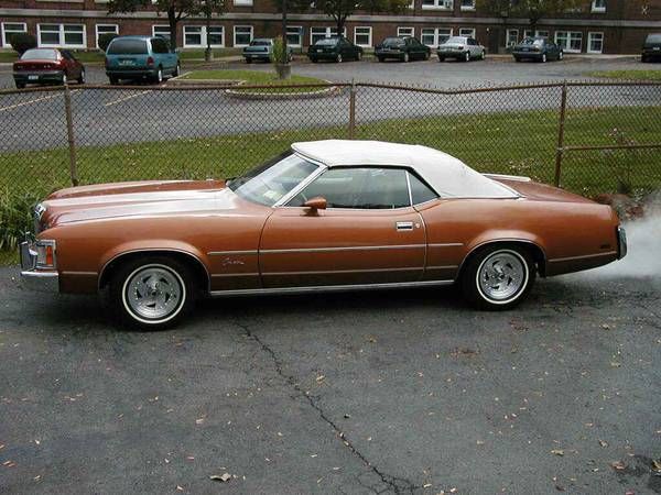 Unknown-Cougar-1973-Saddle-Bronze-Metall-Tan-2