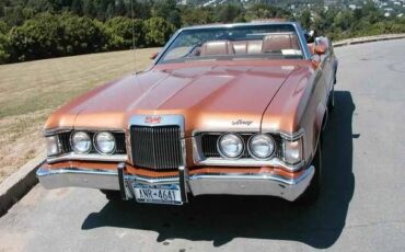 Unknown-Cougar-1973-Saddle-Bronze-Metall-Tan-3