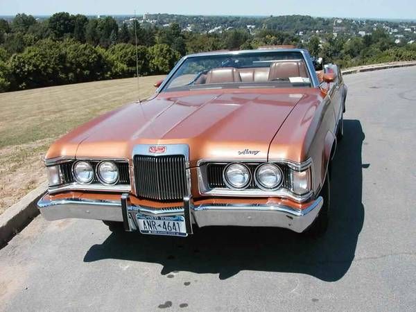 Unknown-Cougar-1973-Saddle-Bronze-Metall-Tan-3