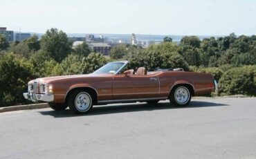 Unknown-Cougar-1973-Saddle-Bronze-Metall-Tan