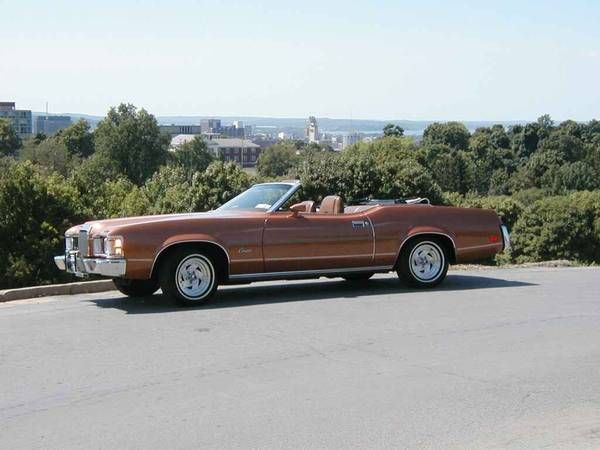 Unknown-Cougar-1973-Saddle-Bronze-Metall-Tan