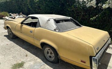 Unknown-Cougar-1973-Yellow-1