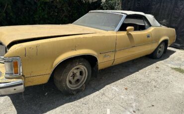 Unknown-Cougar-1973-Yellow-10