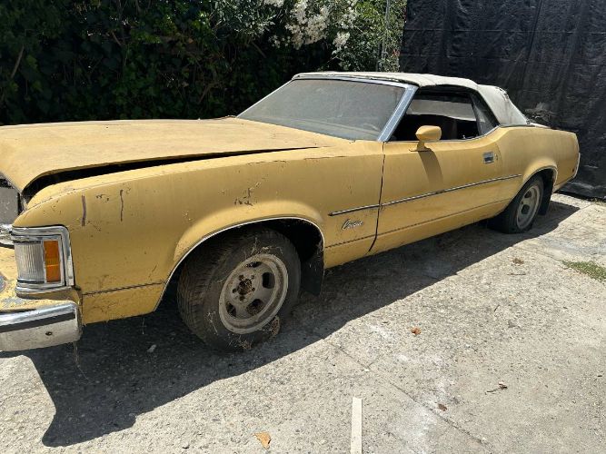 Unknown-Cougar-1973-Yellow-10