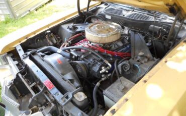 Unknown-Cougar-1973-Yellow-14