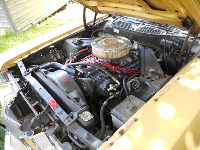 Unknown-Cougar-1973-Yellow-14