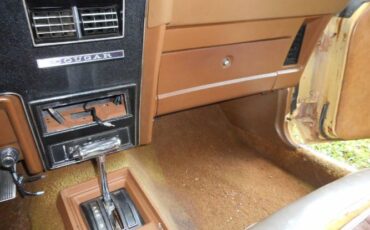 Unknown-Cougar-1973-Yellow-2