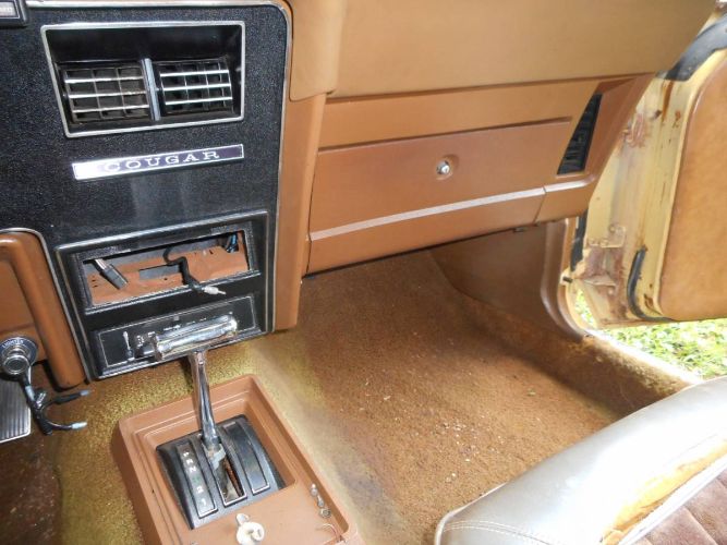 Unknown-Cougar-1973-Yellow-2