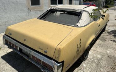 Unknown-Cougar-1973-Yellow-2