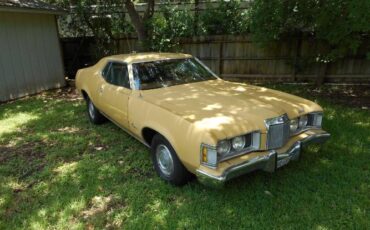 Unknown-Cougar-1973-Yellow-5