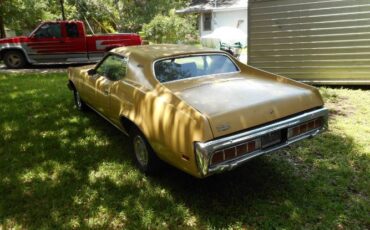 Unknown-Cougar-1973-Yellow-6