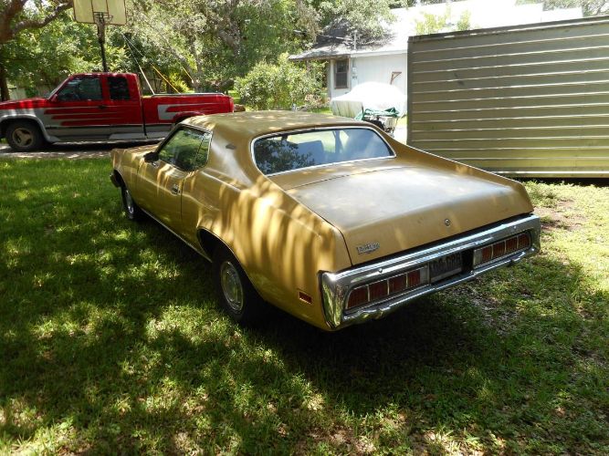 Unknown-Cougar-1973-Yellow-6