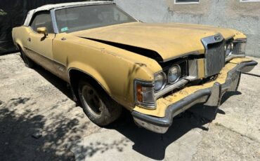 Unknown-Cougar-1973-Yellow-7