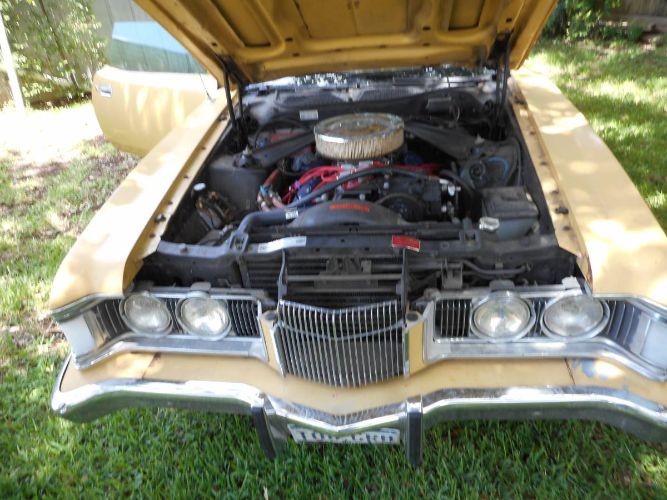 Unknown-Cougar-1973-Yellow-8