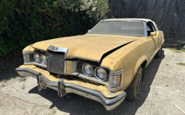 Unknown-Cougar-1973-Yellow-8