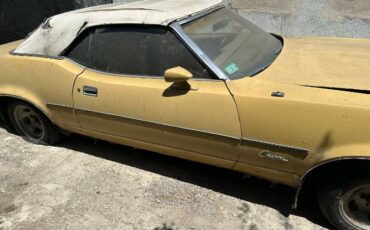 Unknown-Cougar-1973-Yellow-9