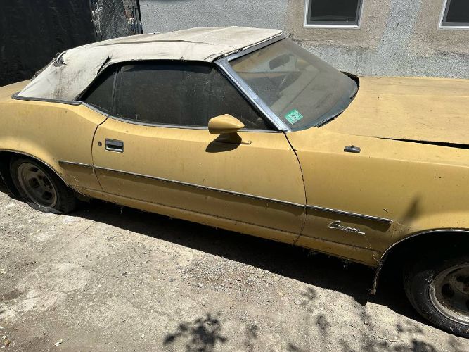 Unknown-Cougar-1973-Yellow-9