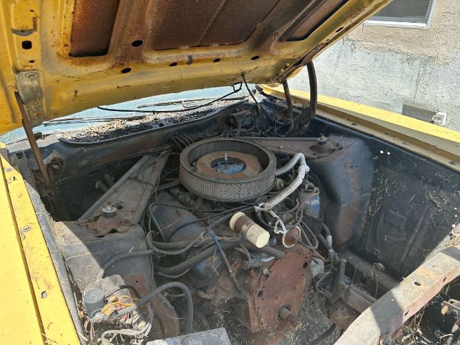 Unknown-Cougar-1973-Yellow