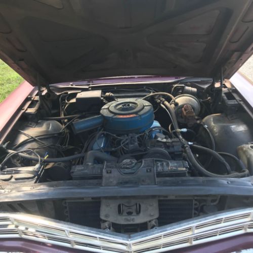Unknown-Country-sedan-1967-6