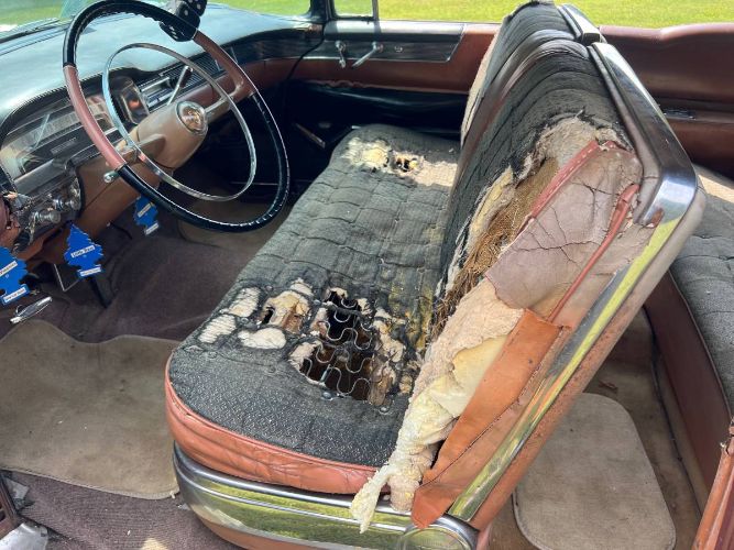 Unknown-Coupe-deville-1955-Cocobar-Brown-10