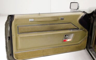 Unknown-Coupe-deville-1970-Bayberry-Metallic-Gold-12