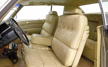 Unknown-Coupe-deville-1970-Bayberry-Metallic-Gold-13