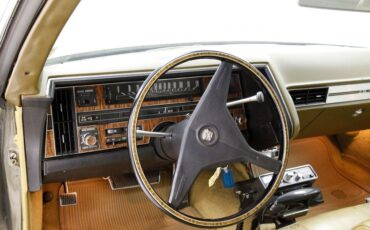 Unknown-Coupe-deville-1970-Bayberry-Metallic-Gold-14