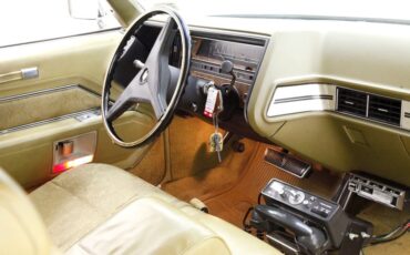 Unknown-Coupe-deville-1970-Bayberry-Metallic-Gold-15