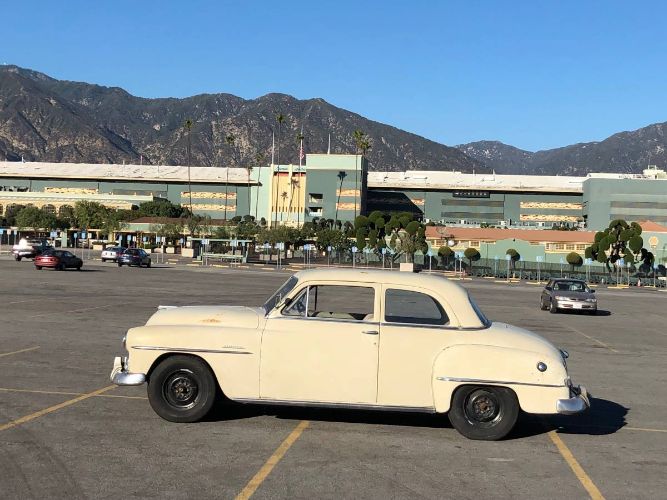 Unknown-Cranbrook-1951-Gray