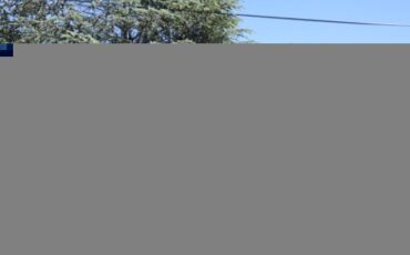 Unknown-Cranbrook-1953-2