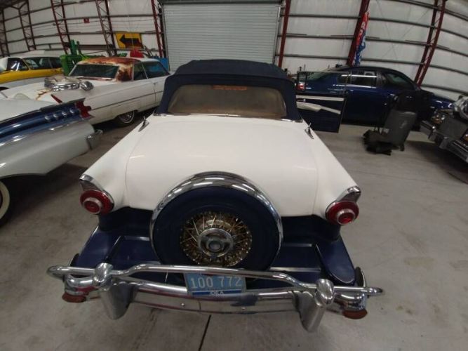 Unknown-Crown-victoria-1956-White-Blue-3