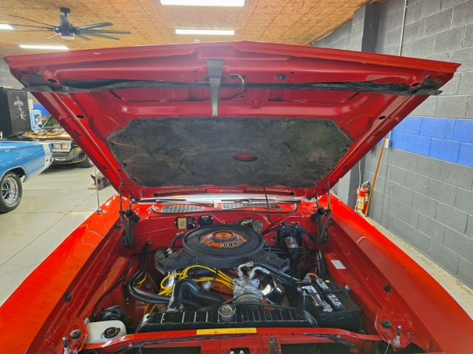 Unknown-Cuda-1970-Red-Black-14