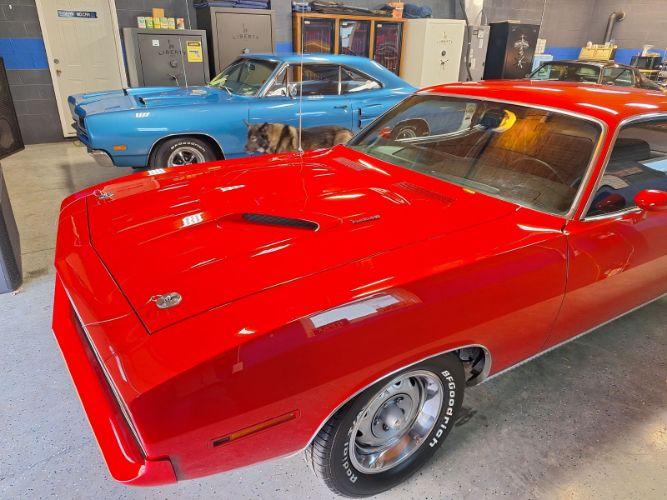 Unknown-Cuda-1970-Red-Black-5