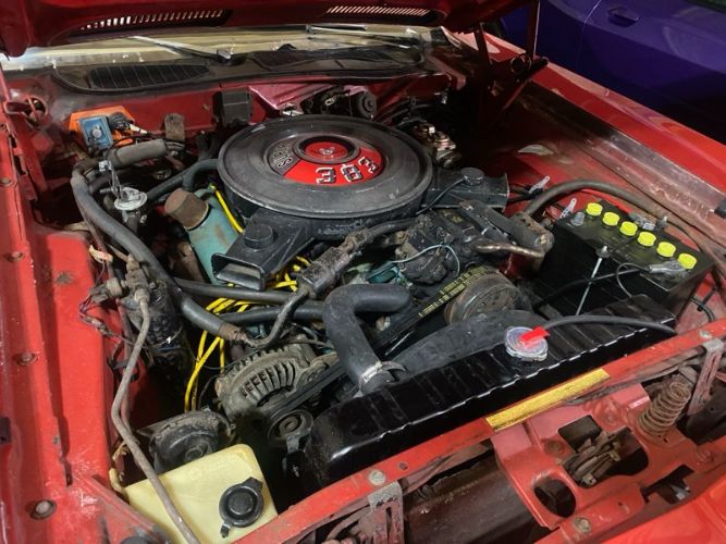 Unknown-Cuda-1970-Red-Red-10