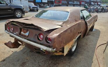 Unknown-Cuda-1972-Brown-Black-11