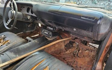 Unknown-Cuda-1972-Brown-Black-4