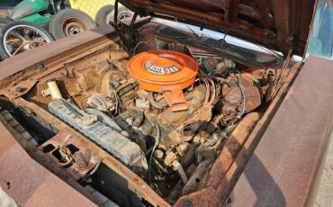 Unknown-Cuda-1972-Brown-Black-9