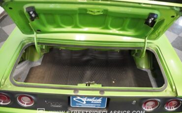Unknown-Cuda-1972-Metallic-Green-Black-23