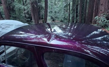 Unknown-Custom-1948-Purple-14