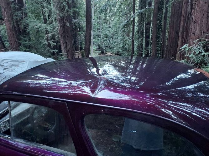 Unknown-Custom-1948-Purple-14