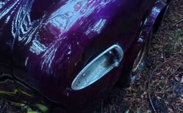 Unknown-Custom-1948-Purple-20