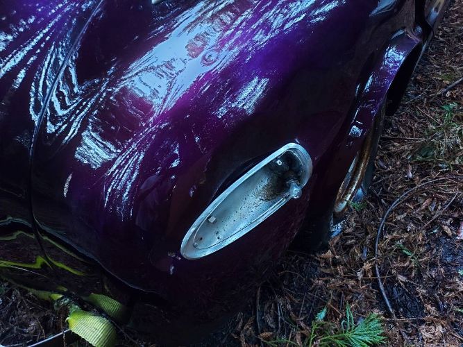 Unknown-Custom-1948-Purple-20