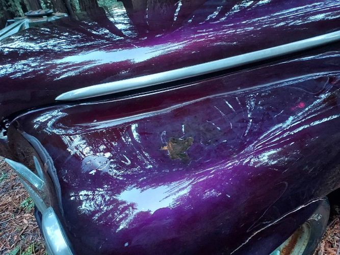 Unknown-Custom-1948-Purple-23