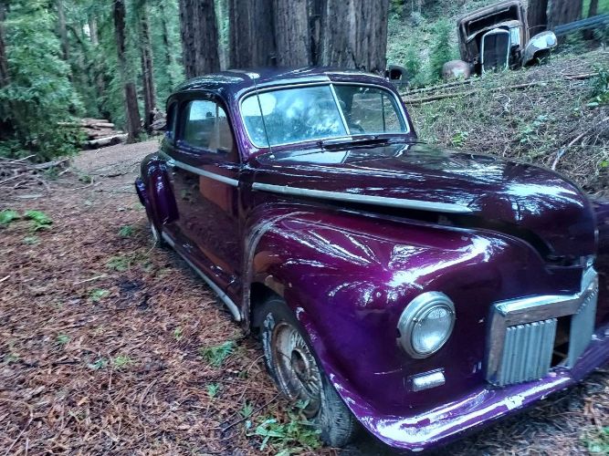 Unknown-Custom-1948-Purple-4