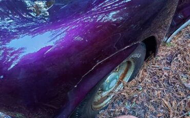 Unknown-Custom-1948-Purple-5