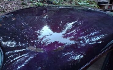 Unknown-Custom-1948-Purple-6