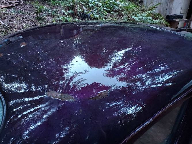 Unknown-Custom-1948-Purple-6